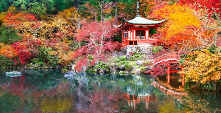 Where to go in October